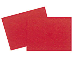 안주 흡착 미끄럼방지 매트 C사이즈 2매입 535-128 레드