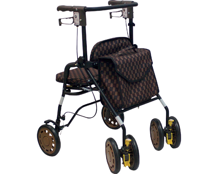 심포니 EVO B브라운