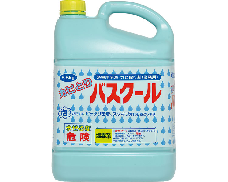 욕실 곰팡이 제거 1-3 234035 5.5kg