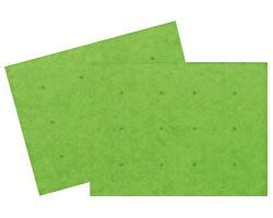 안주 흡착 미끄럼방지 매트 C사이즈 2매입 535-129 그린